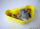 Hamster Photo Nr. 151