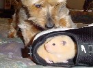 Hamster Photo Nr. 248