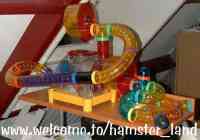 Hamster Photo Nr. 33